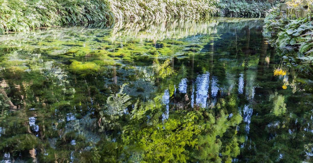 【熊本】火の国、 温泉と阿蘇の水の別荘暮らし