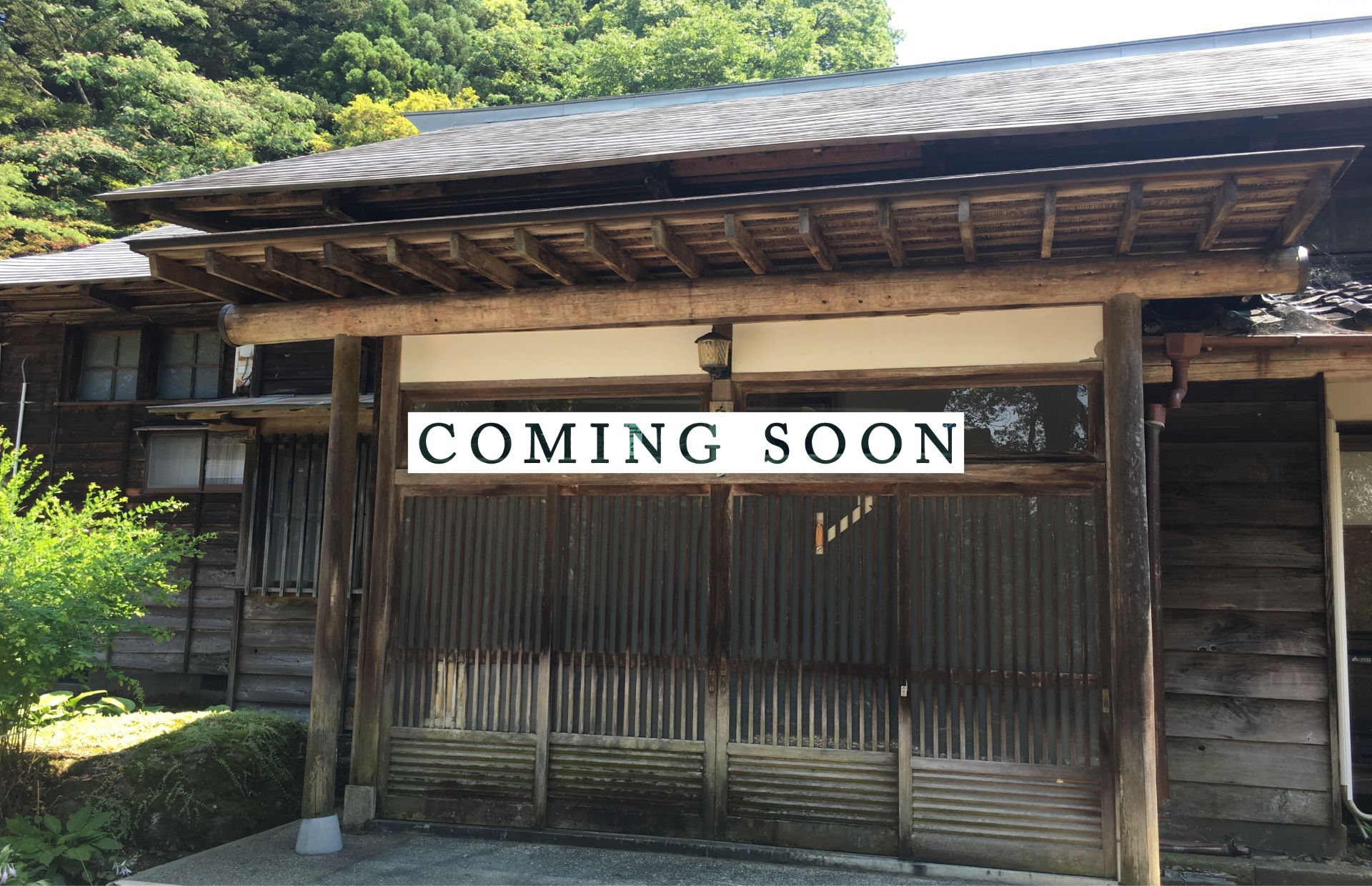 kashiwazaki001B.jpg